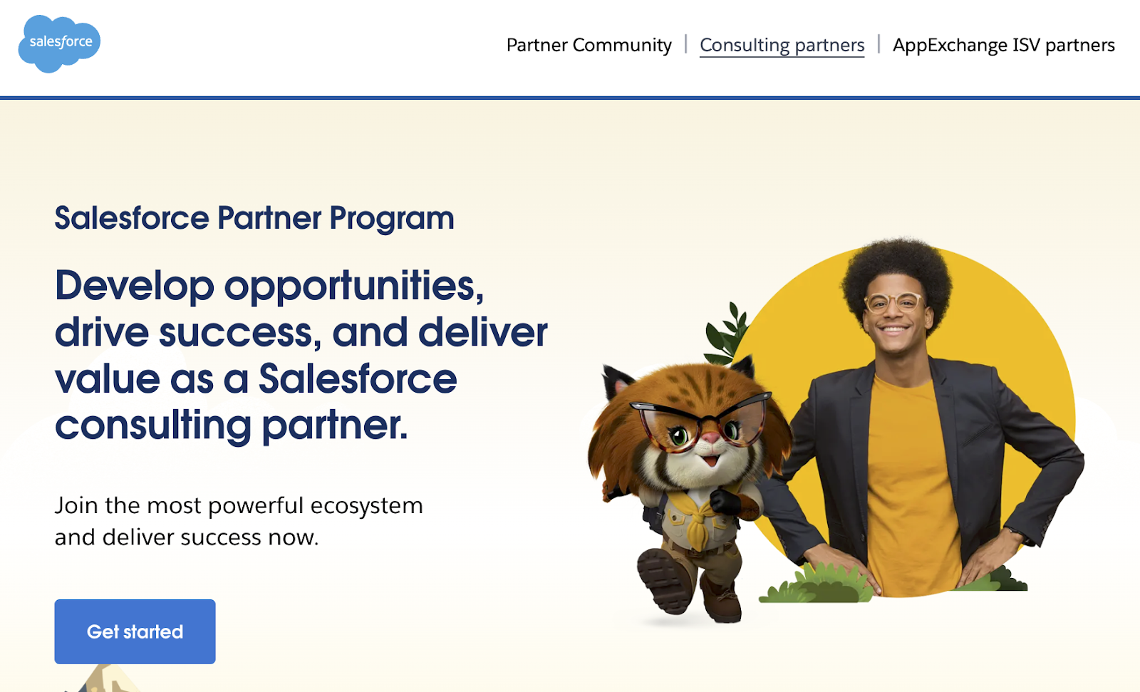 salesforce partner program