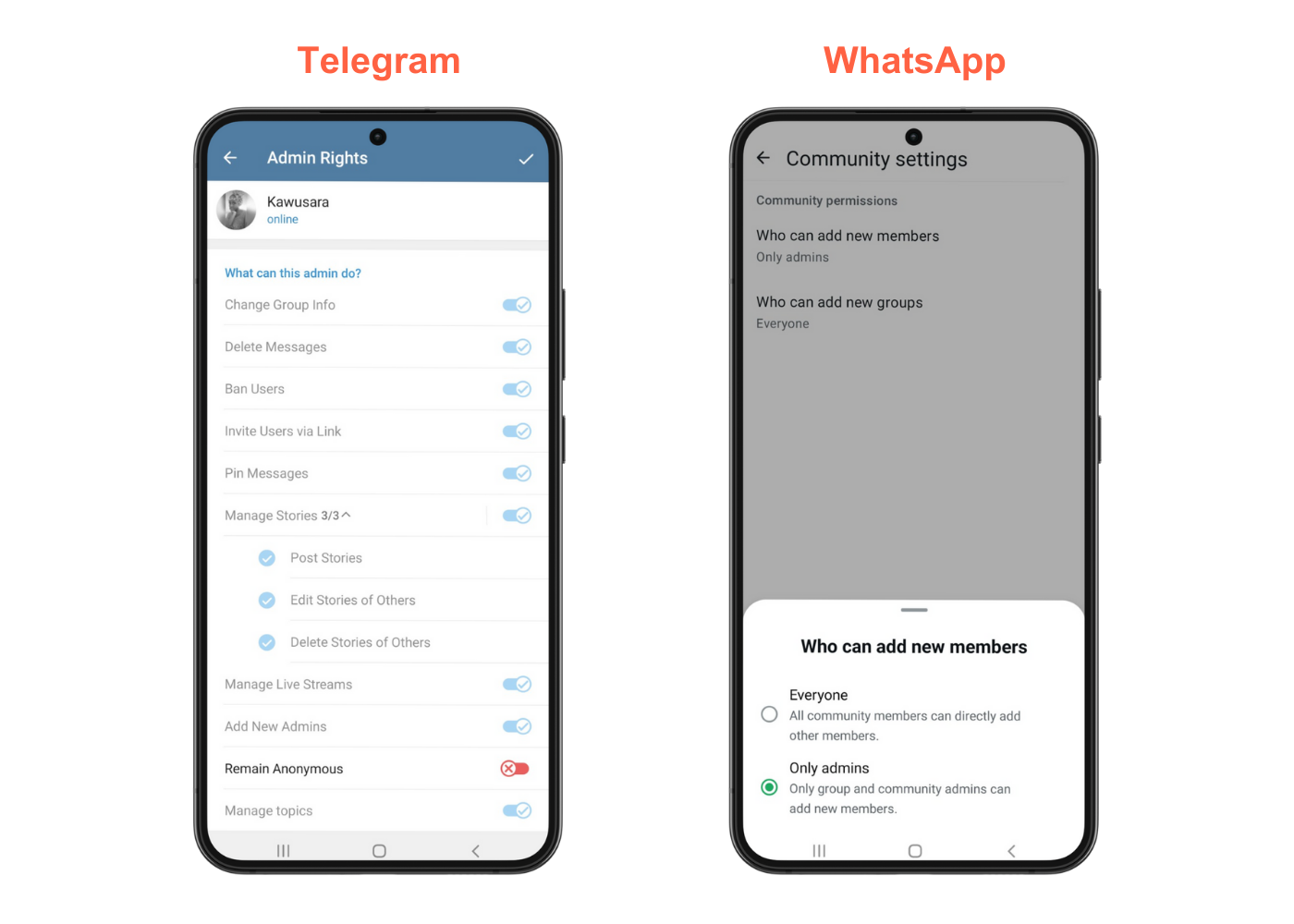 telegram whatsapp members