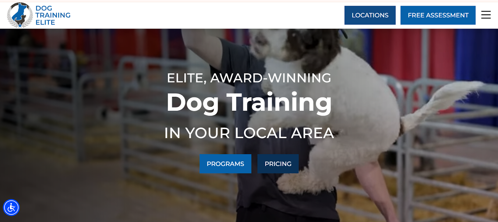 dog training elite