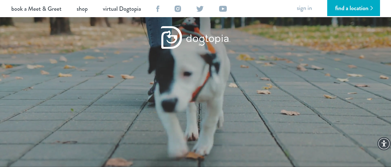 dogtopia