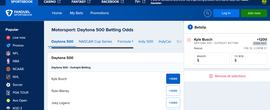 nascar bet