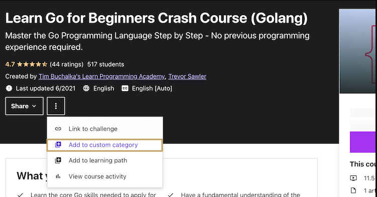 udemy course category
