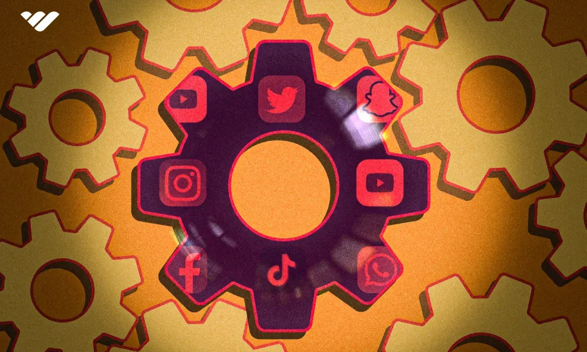 social media management