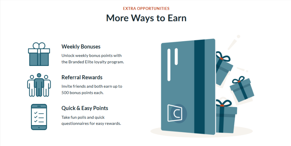 brandes surveys earnings