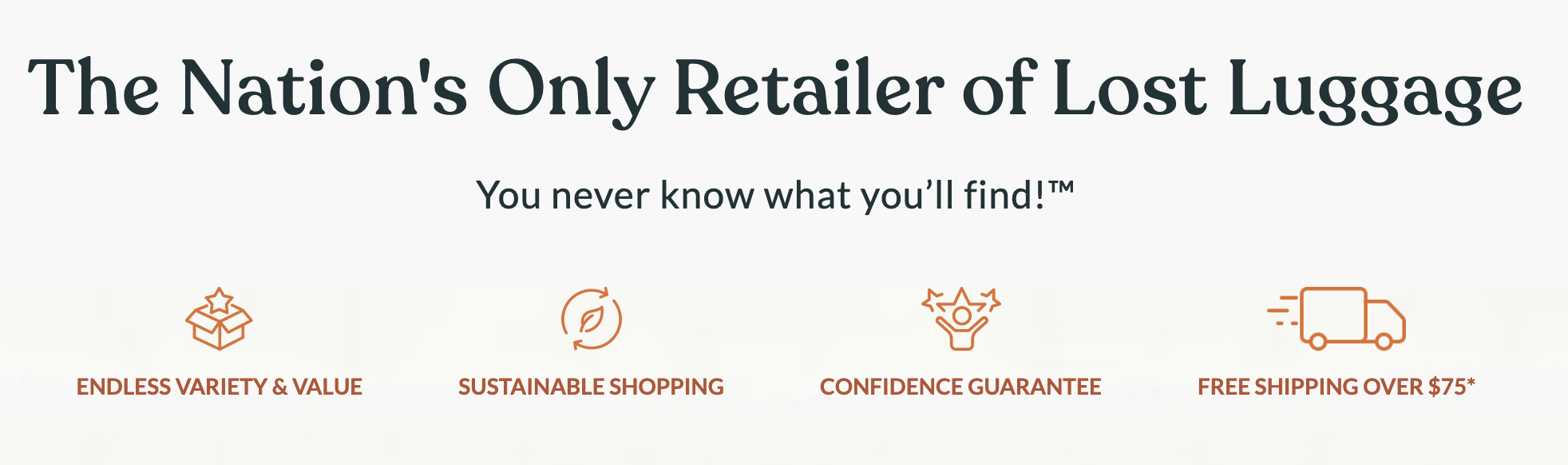 airport lost luggage