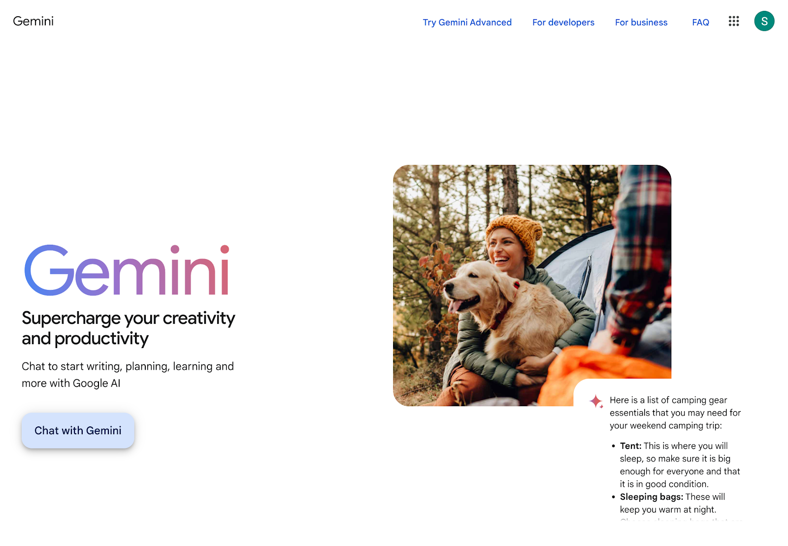 google gemini homepage