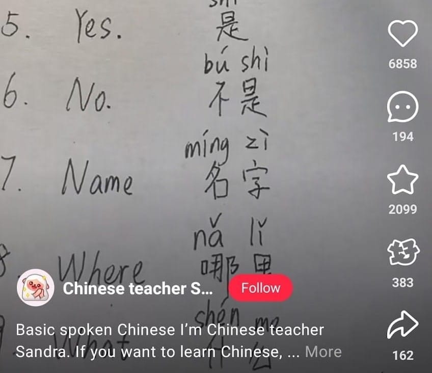 chinese teacher sandra rednote