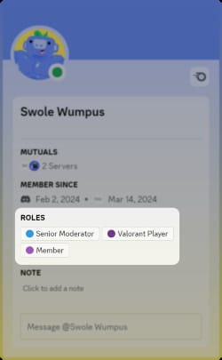 Discord role and permissions