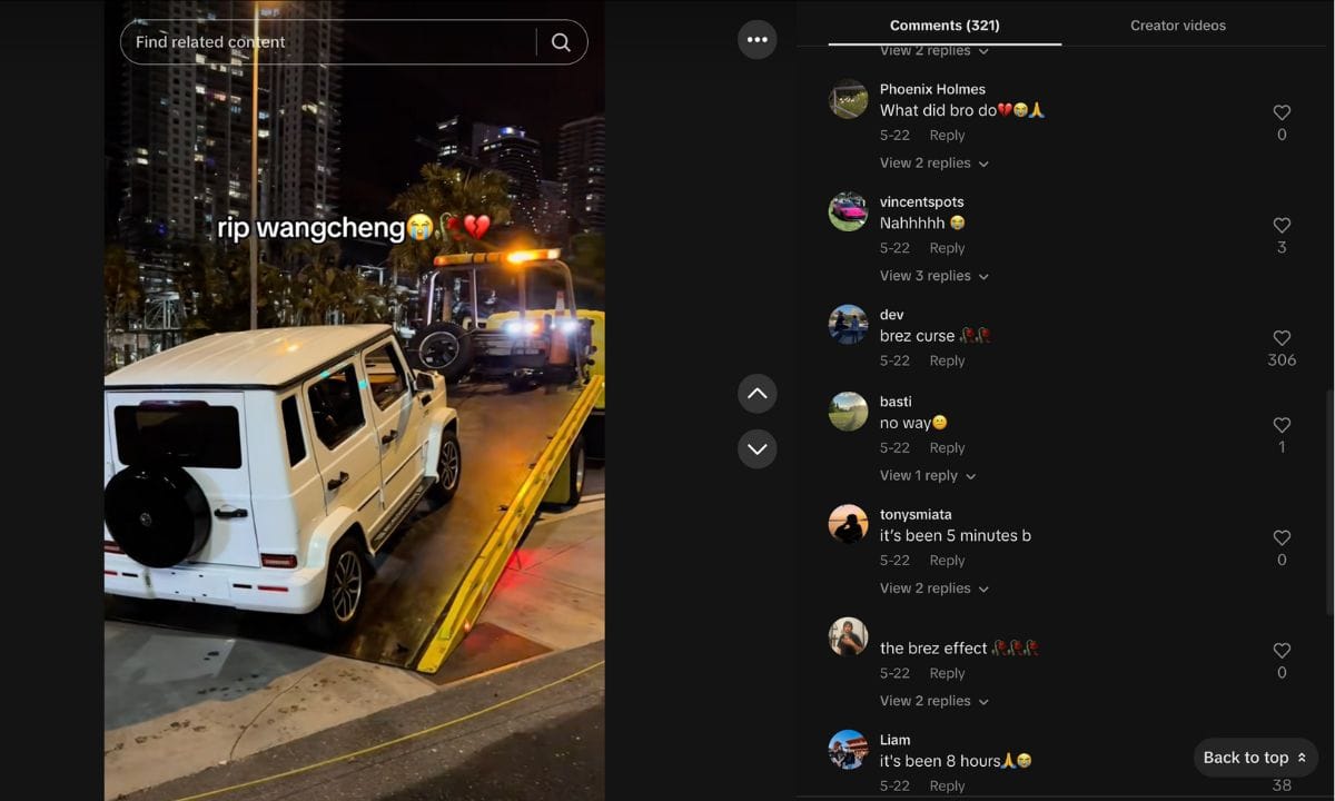 brez scales car crash