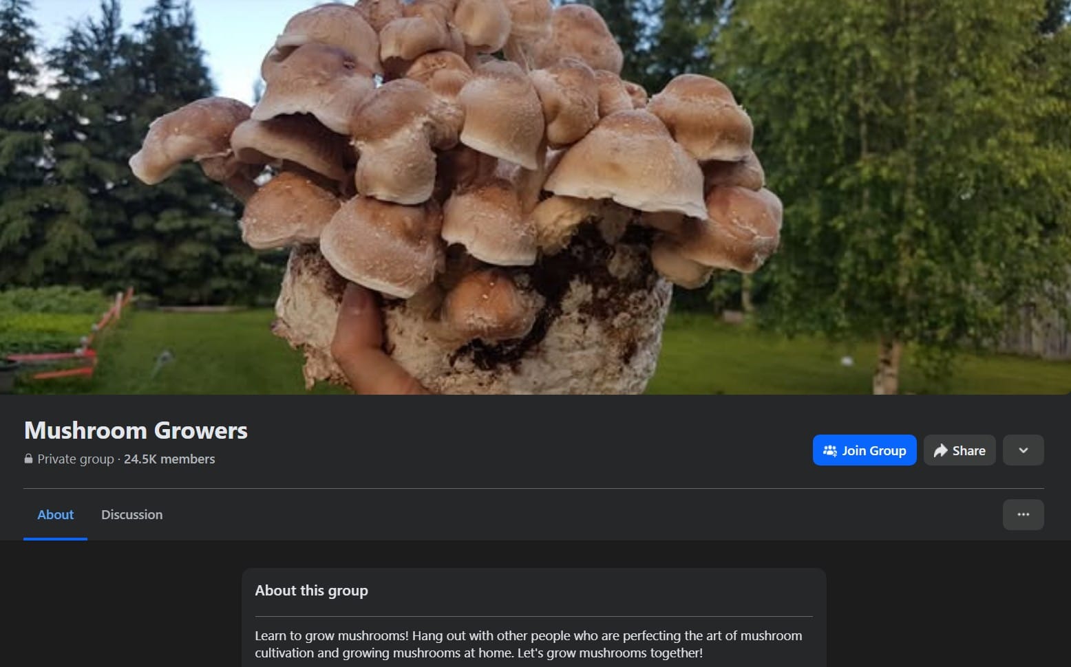 mushroom growers facebook group