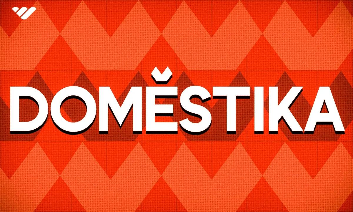 Domestika illustration