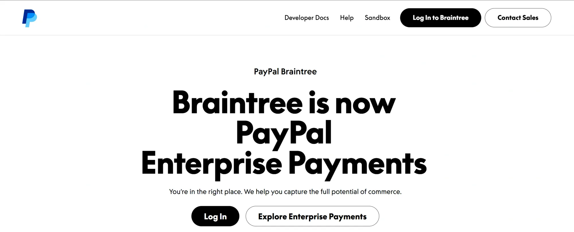 PayPal Braintree website screenshot