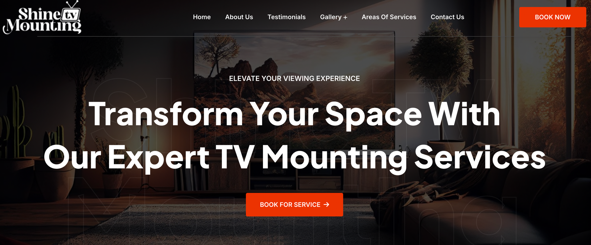 shine tv mounting