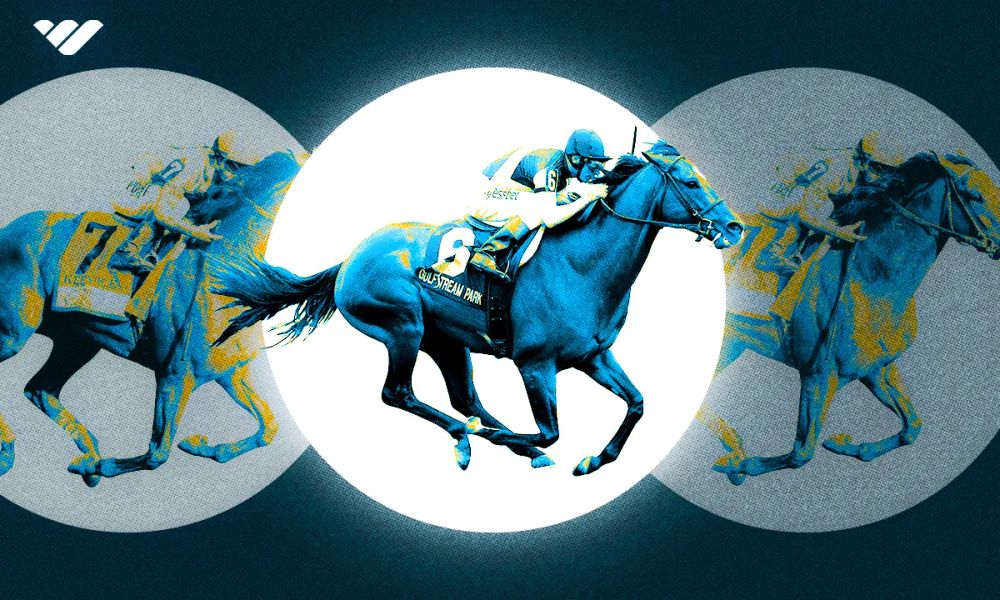 Exotic Bets: What They are and How to Find Them