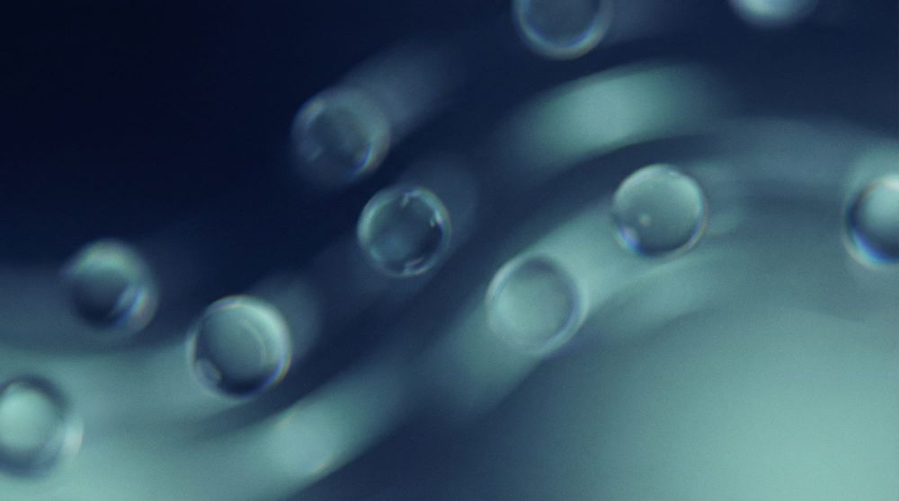 SaaS subscription management software: What it is, why you need it, & the best choices