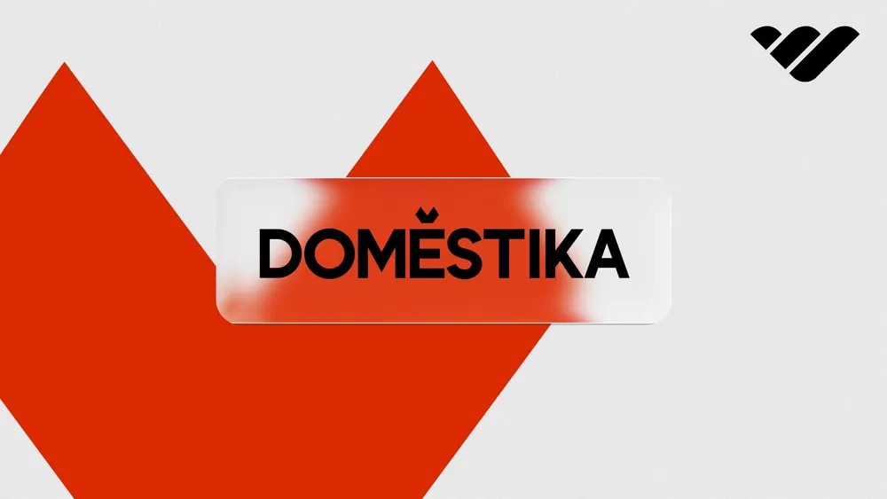 Domestika review: Is it the best course platform for 2026?