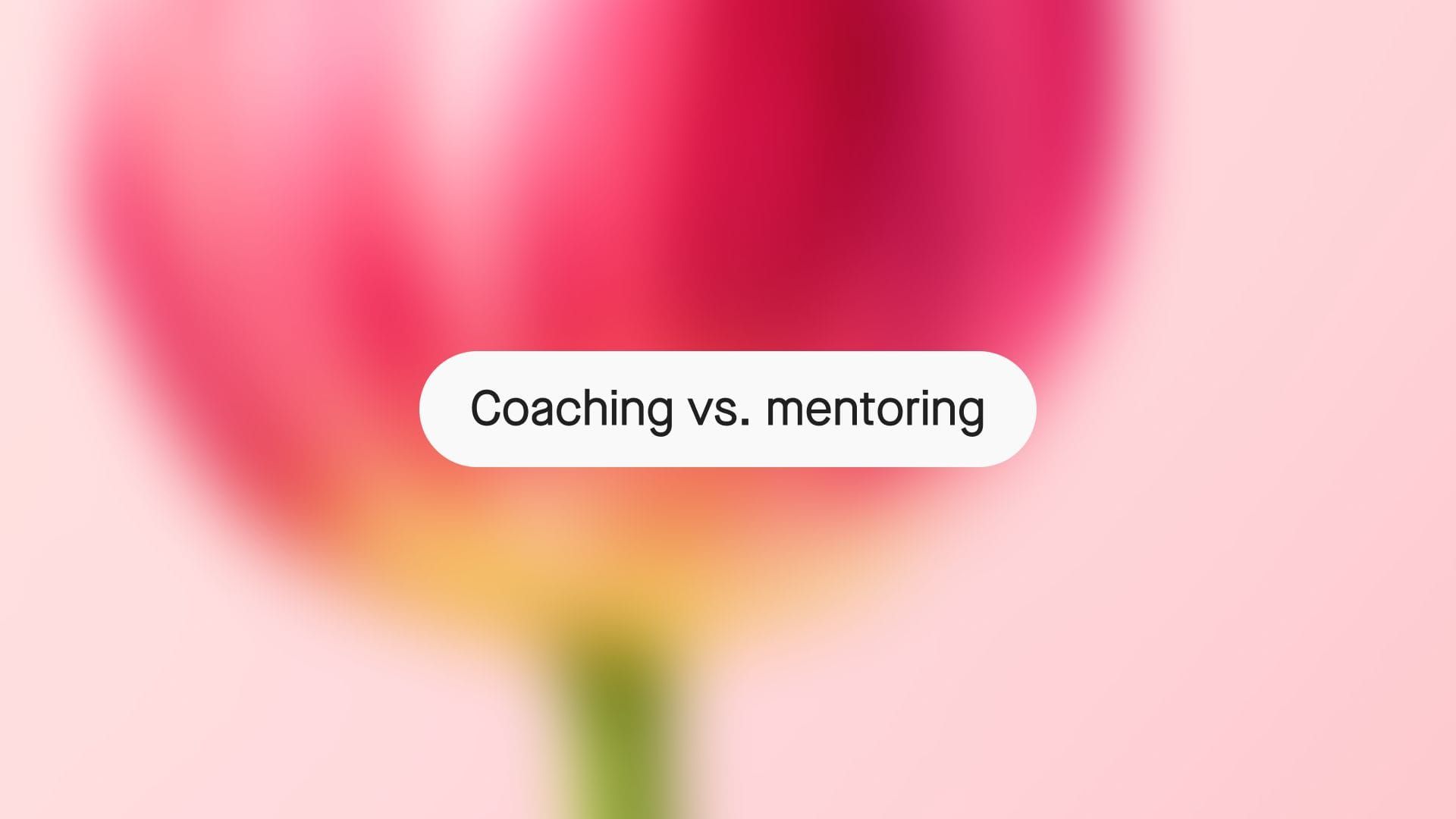 Coaching vs. mentoring