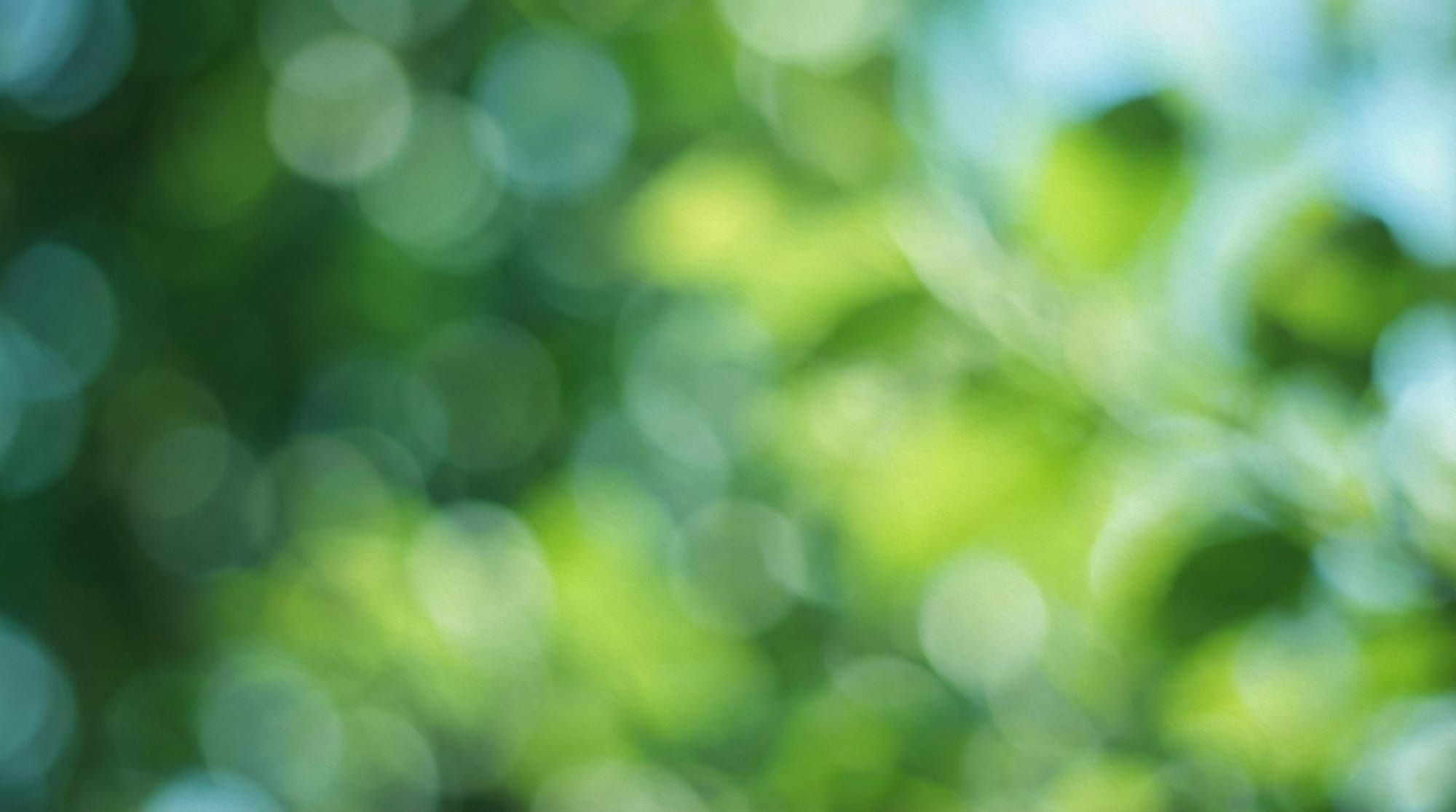 companies that succeeded with bootstrapping