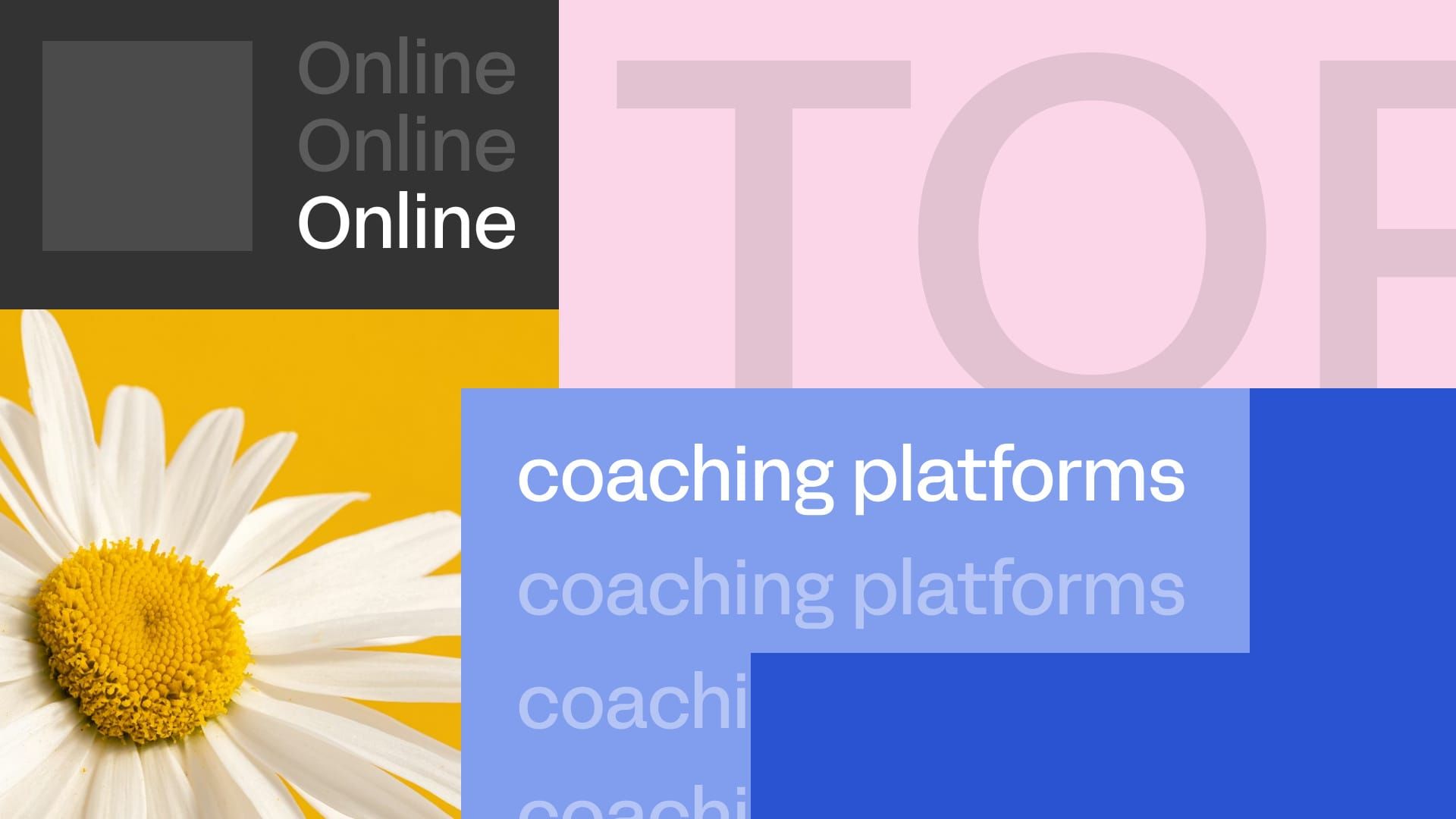 Online coaching platforms