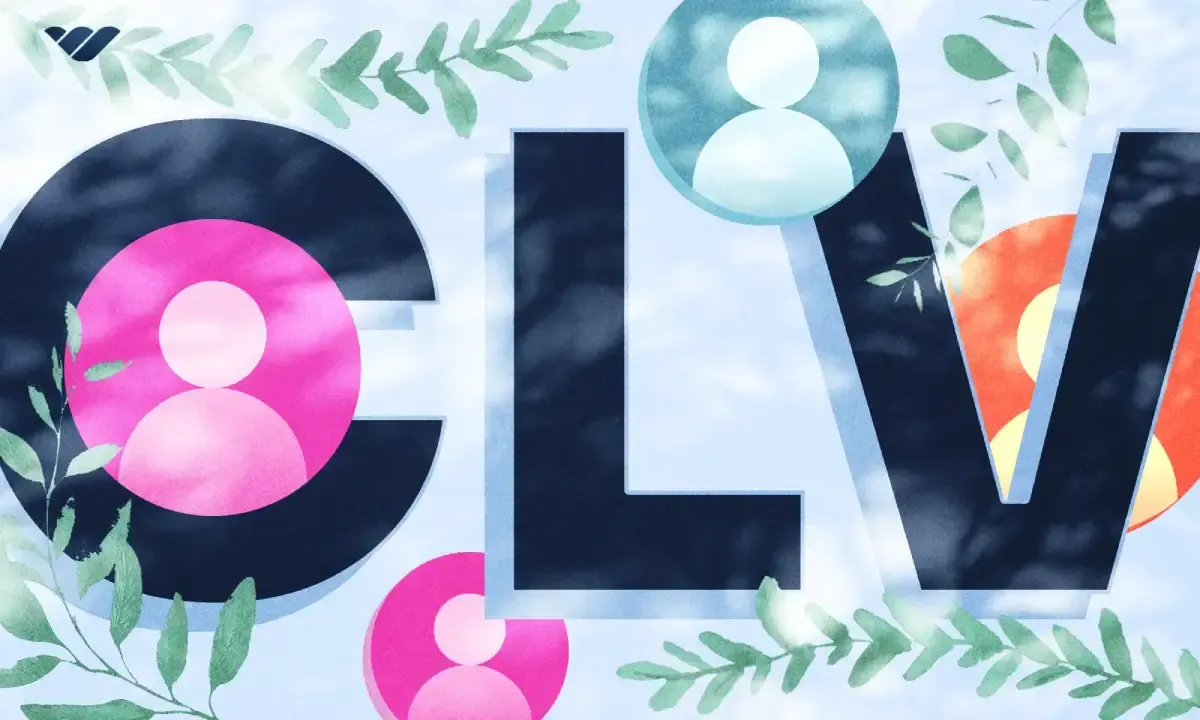 what is CLV and why is it so important?