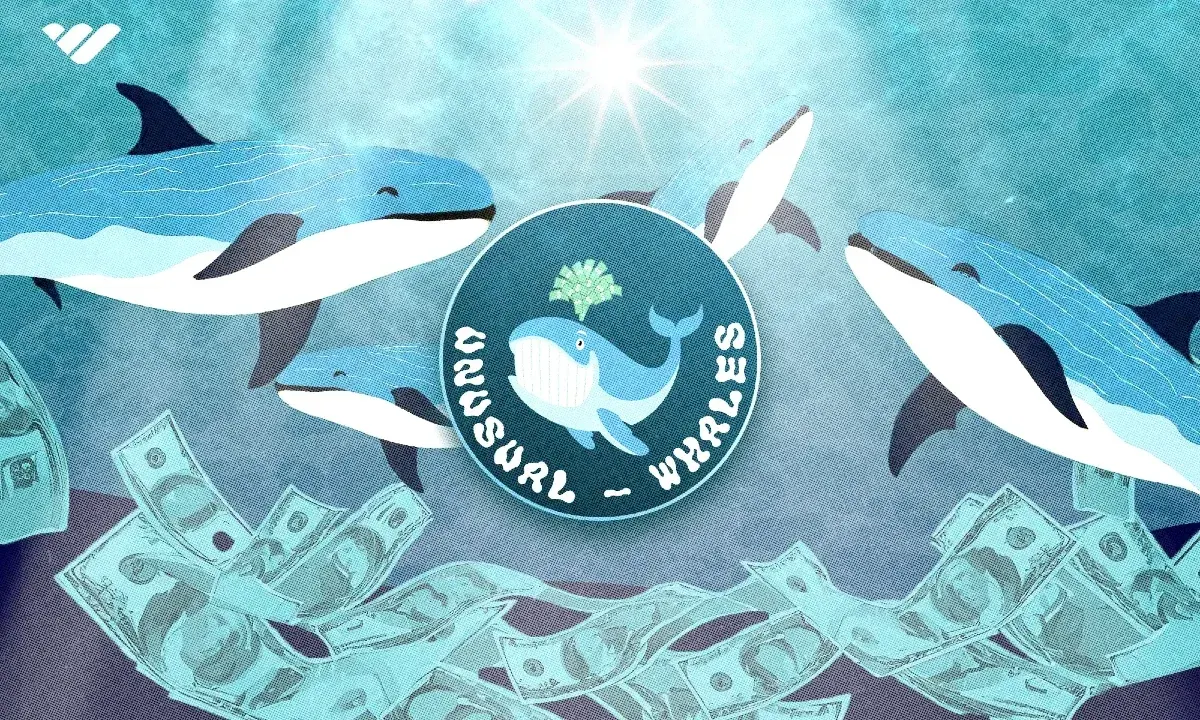 unusual whales