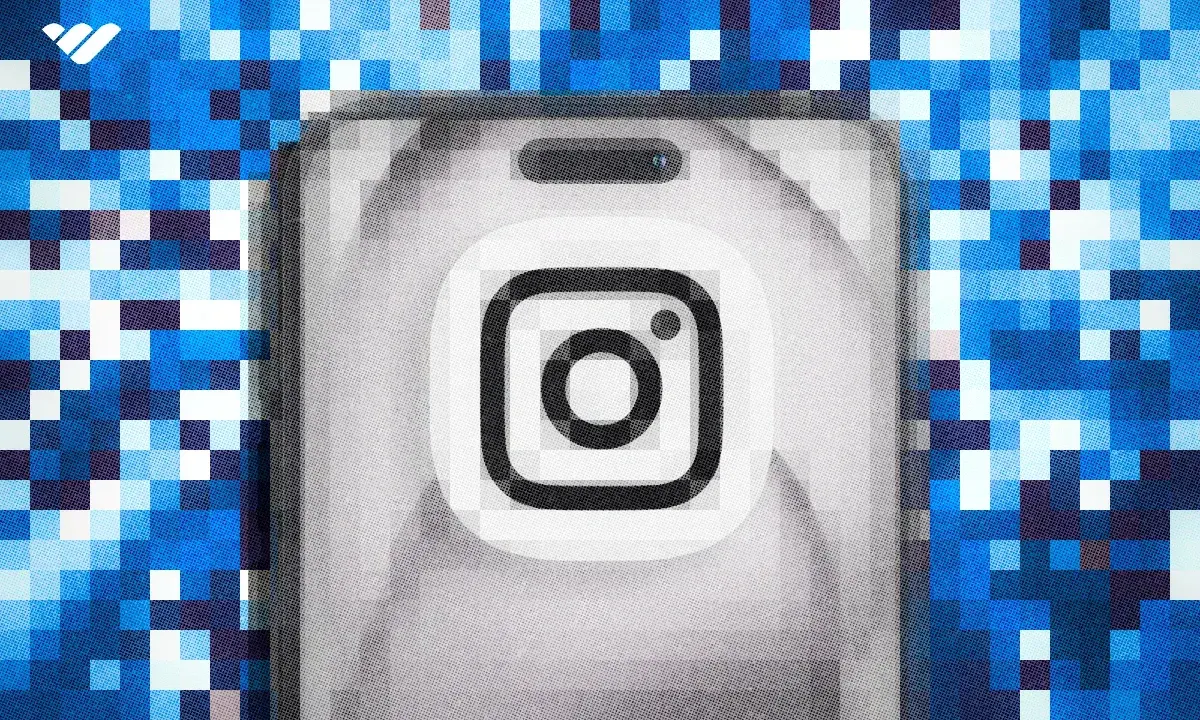 grow business on Instagram