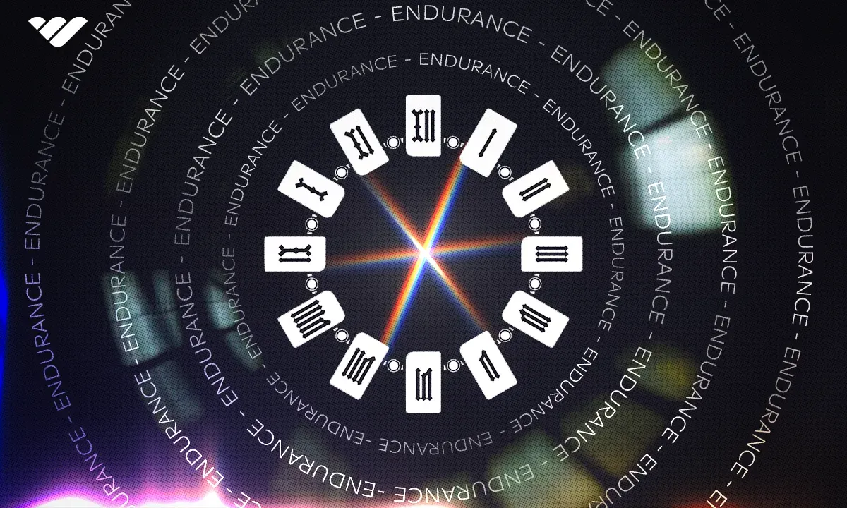 endurance logo