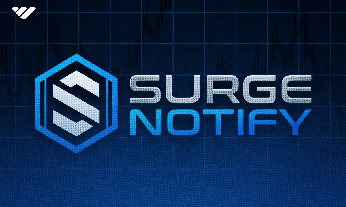 Surge Notify review