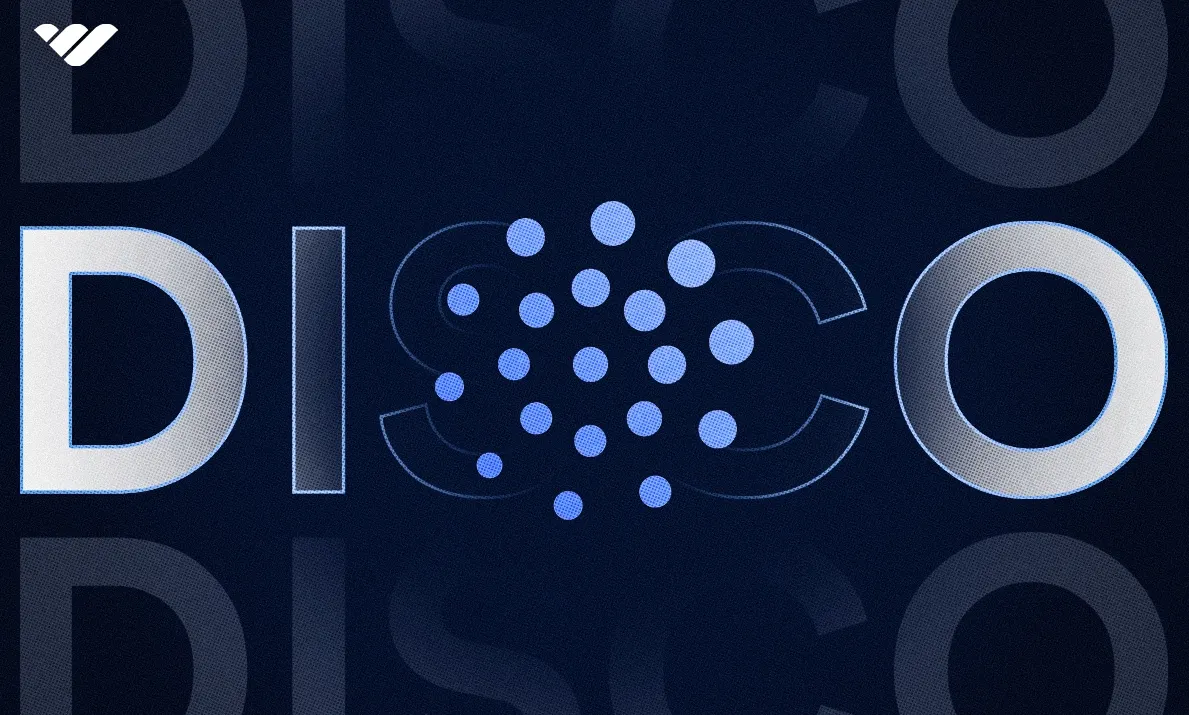 What-is-Disco-AI