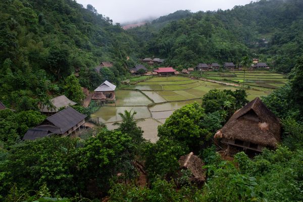 The House That Left the Village