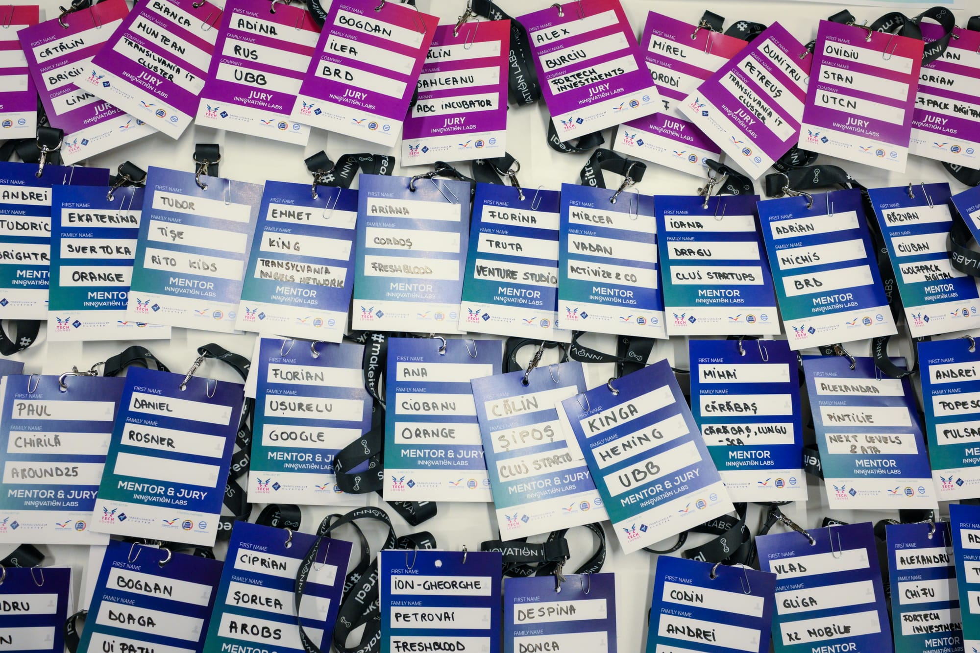 Text Descriptiv pentru Imagine