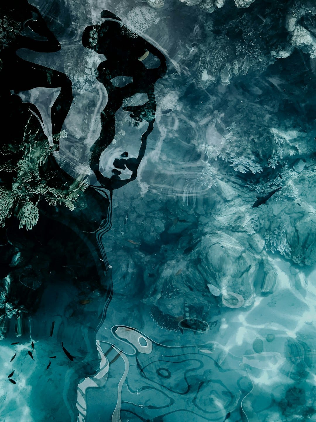 Image of a frozen lake in the winter with ice that is starting to break into pieces