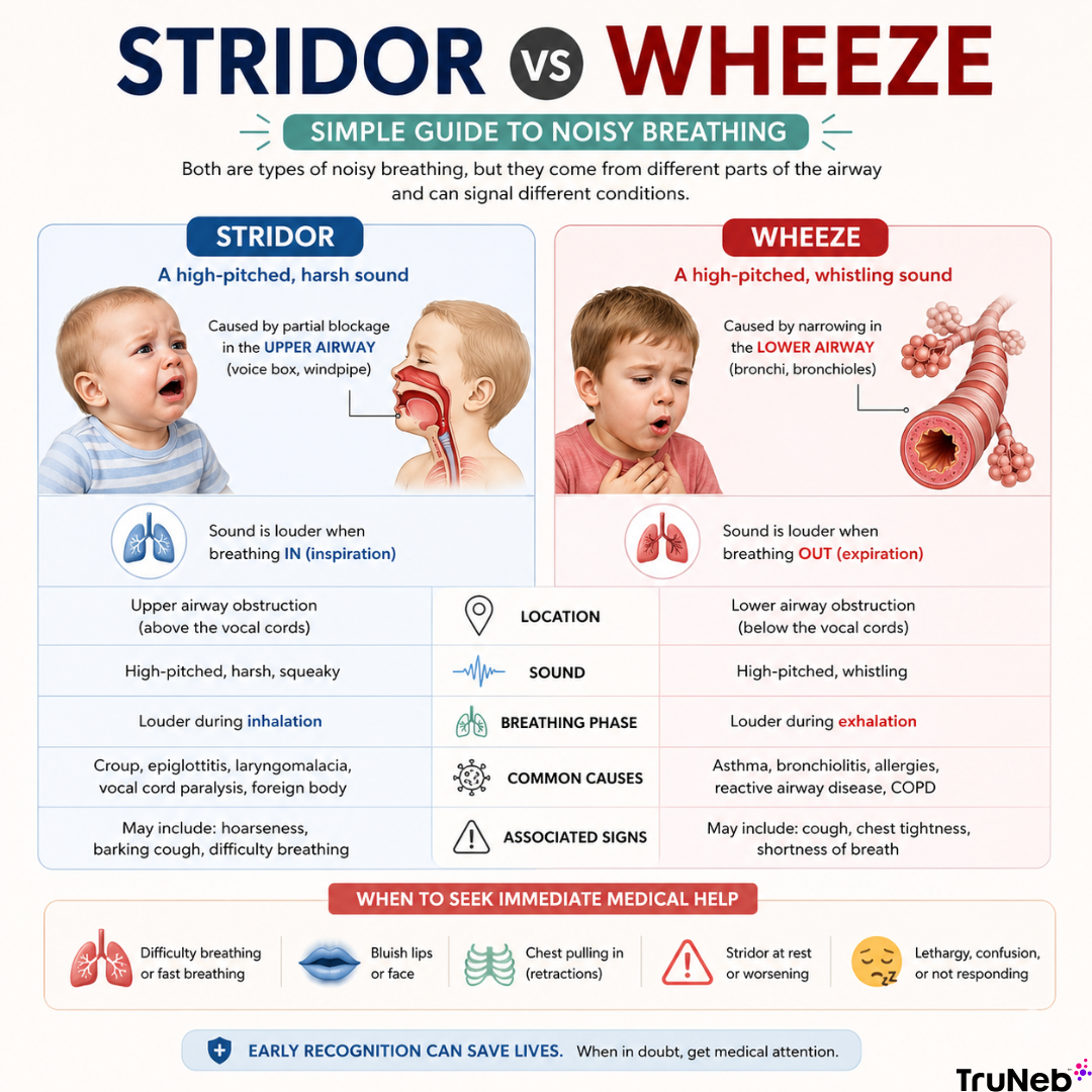 Stridor vs Wheeze - Key Differences