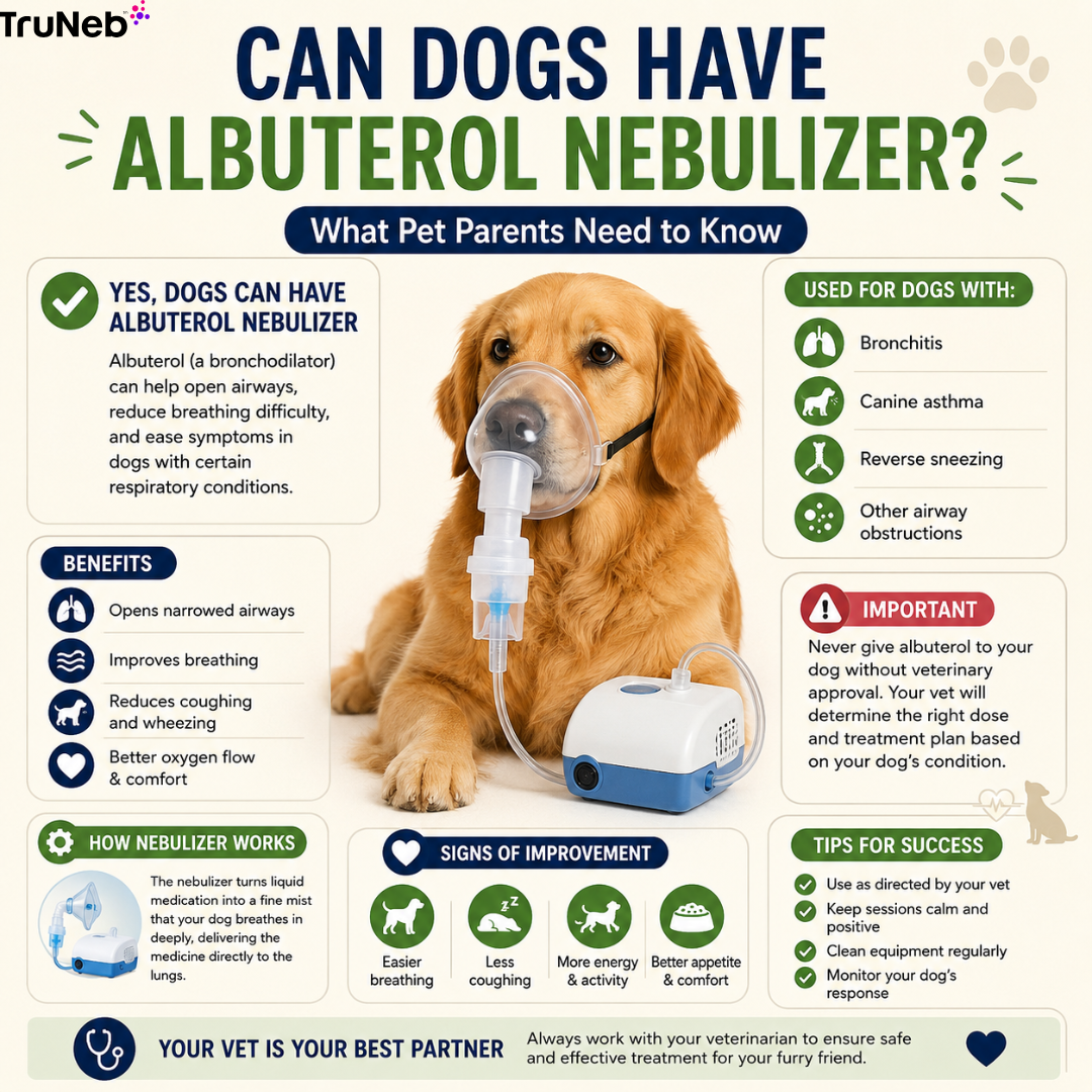 Dog With Albuterol Nebulizer