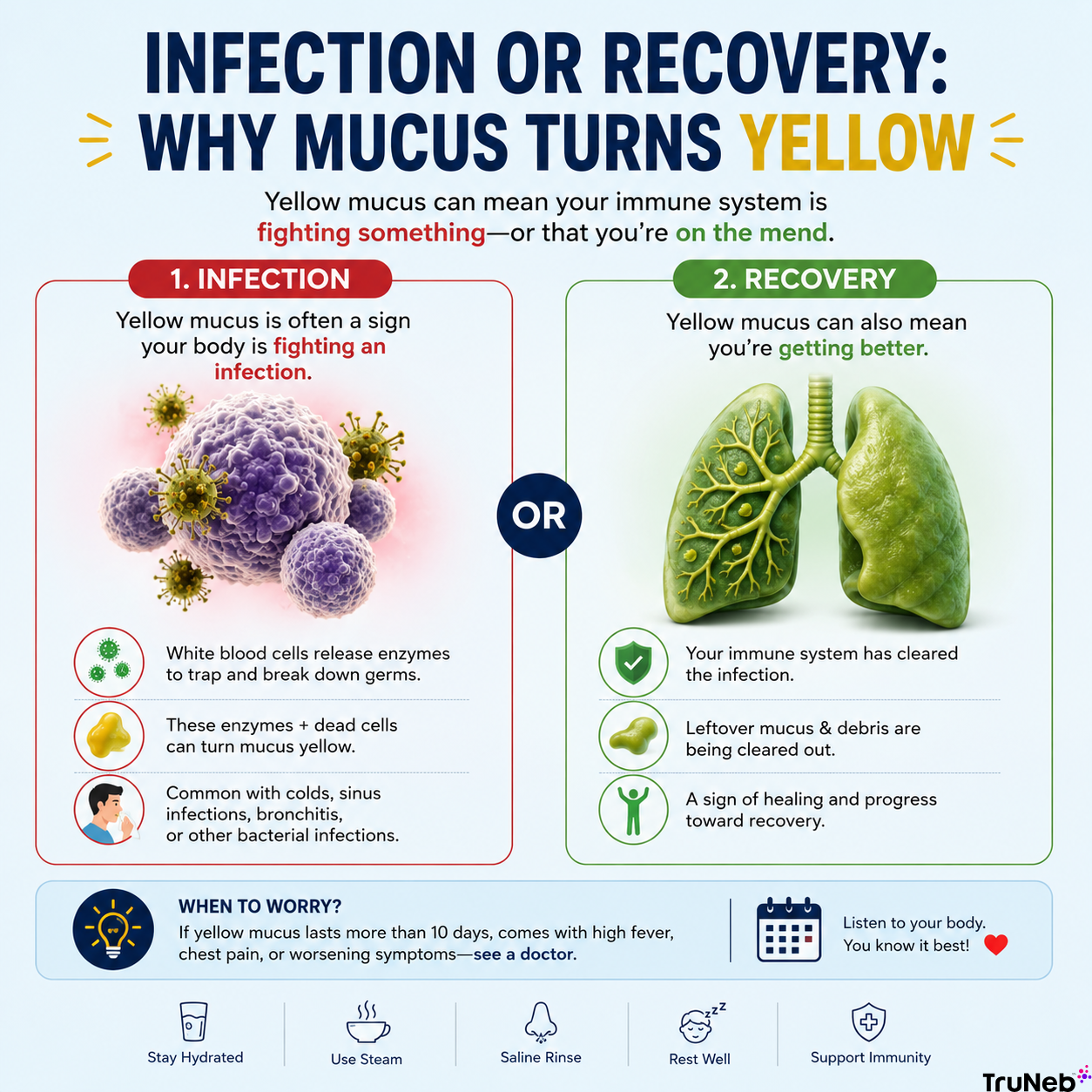 Explaining Why Mucus Turns Yellow