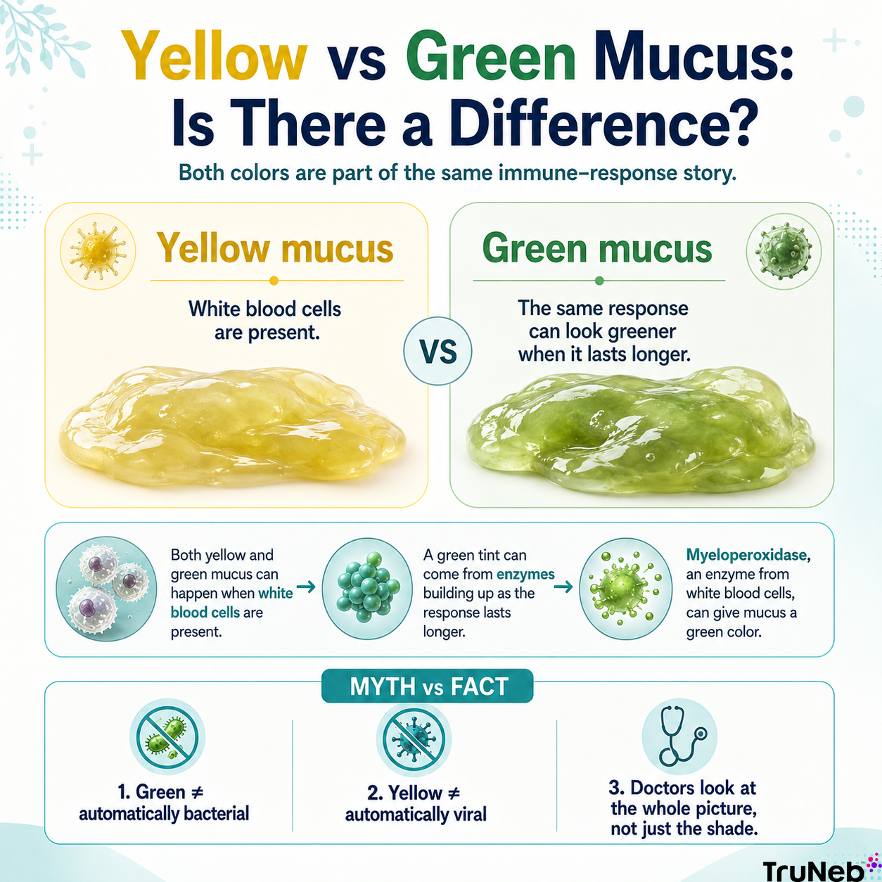 Yellow vs Green Mucus
