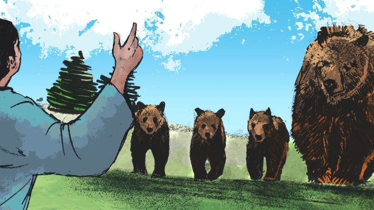 The Bridegroom and the She-bear