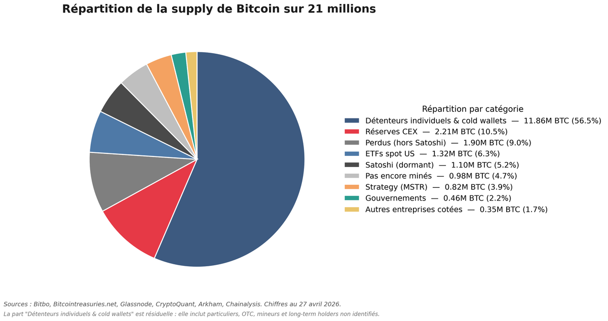 La Cartographie des Détenteurs de Bitcoin : Qui Possède Quoi ?