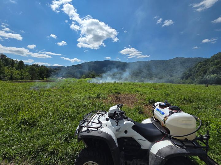 Johnson Grass Eradication