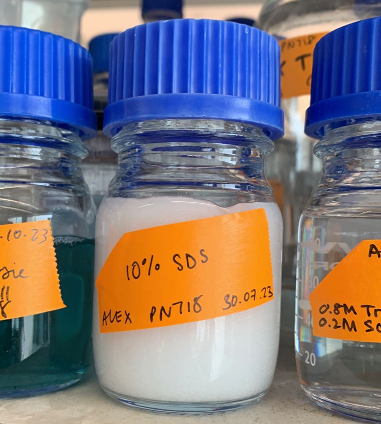 Crystallised Solution