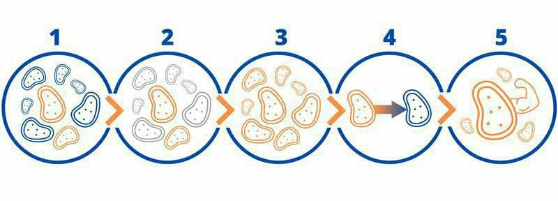 Antibiotic Resistance