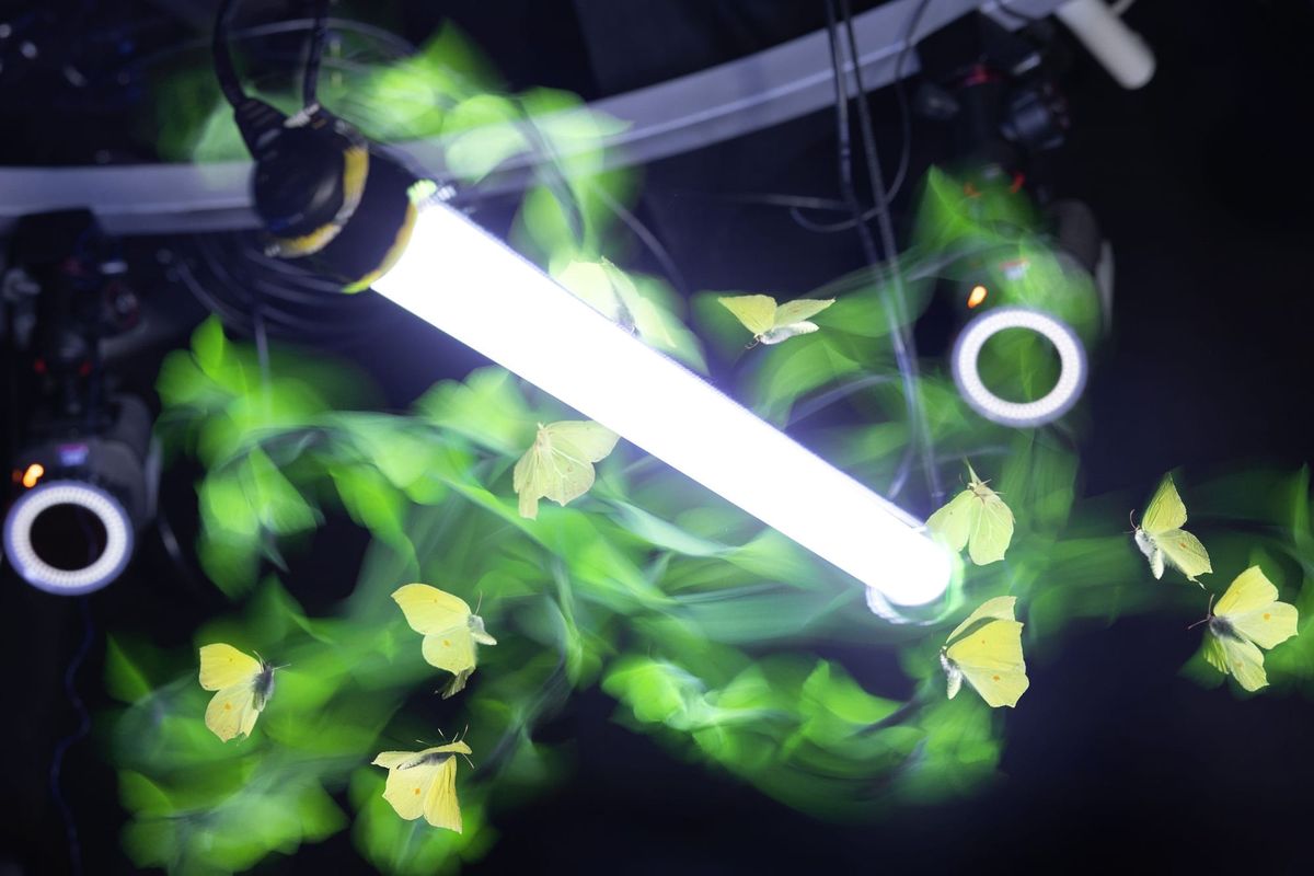 Culture Channel displays visual stories from Imperial College