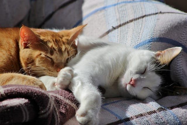 The importance of quality sleep