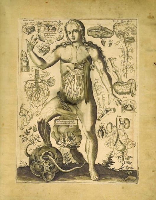 Can graphic design save your life?