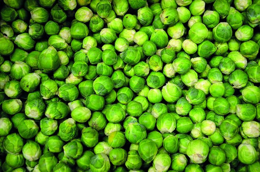 On the eleventh day of Christmas, my true love gave to me… BRUSSELS SPROUTS