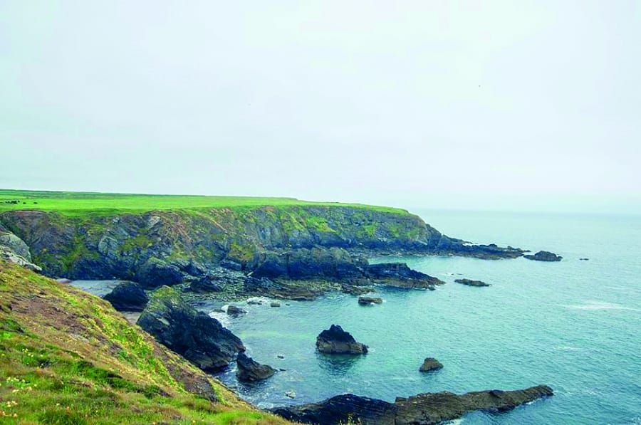 Chasing birds in Wales: a wildlife experience