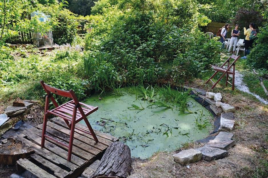 Environmental Society – It's easy bee-ing green