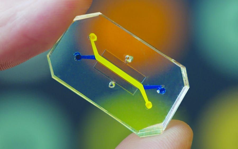 Organs-on-Chips – A catalyst for drug testing?