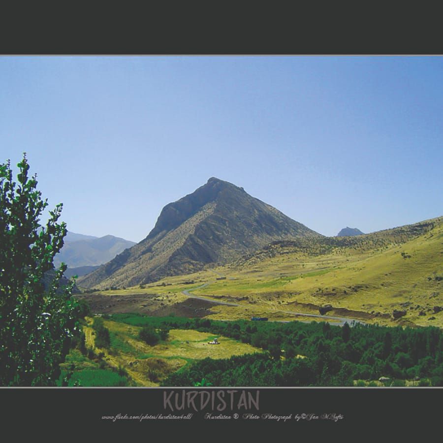 No Olive Branch for Rojava – what happens after the Turkish intervention in Syria?