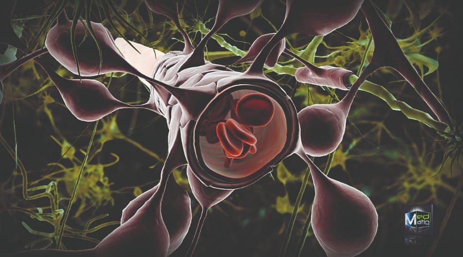 Crossing the blood-brain barrier: the final frontier